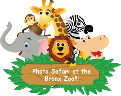 DIY Photo Safari #23: The Bronx Zoo - a Jungle Safari!
