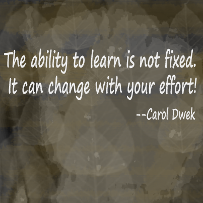 The ability to learn is not fixed. It can change with your effort. Carol Dwek, posted by NYCPhotoSafari.com