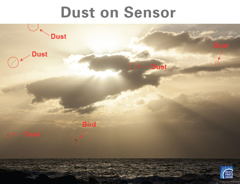 camera tips - dust on sensor