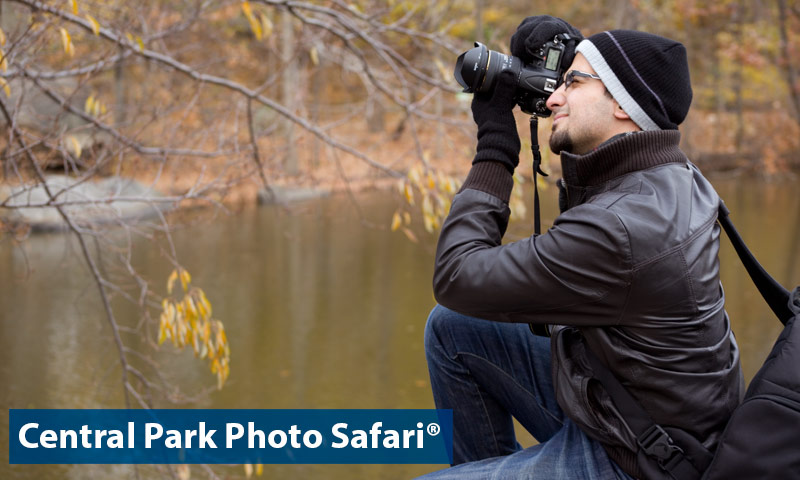 Central Park Photo Safari
