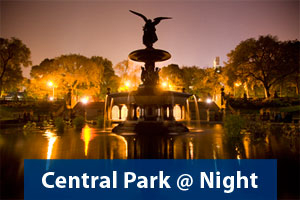 Central Park Photo Safari @ Night