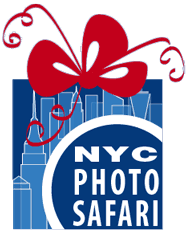 Photographer Classes Gift Cards
