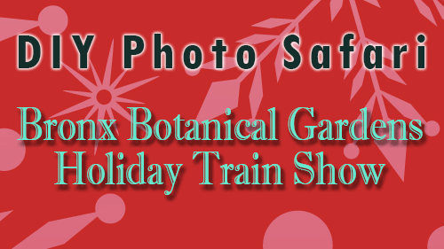 bronx botanical gardens train show photo safari