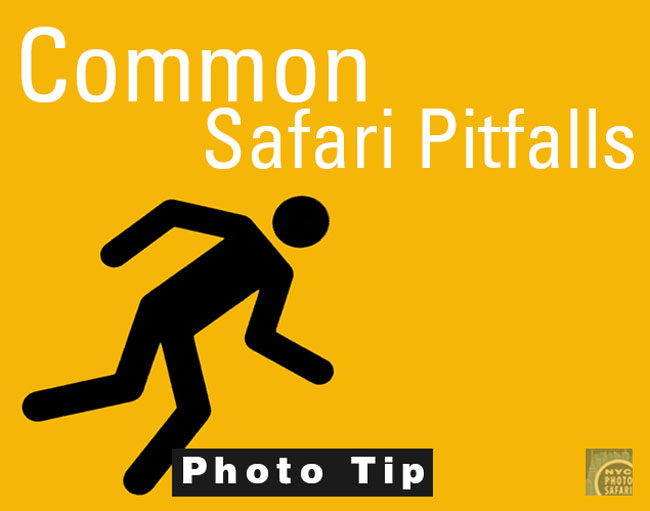Photo Tip: Common Photo Shoot Problems. NYC Photo Safari