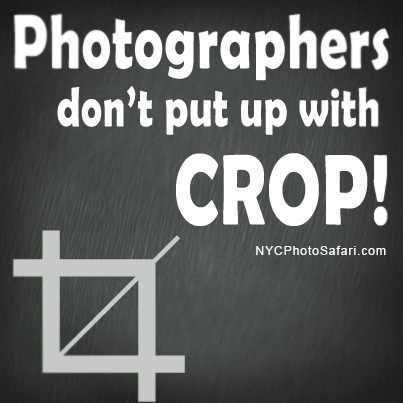 NYC Photo Tour quotes - Photographers don't put up with CROP!