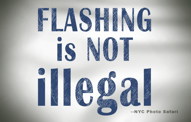 Flashing is NOT Illegal - NYC Photo Safari quotes