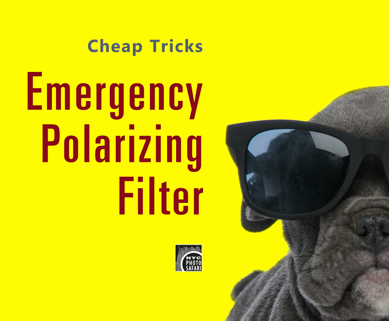 NYC Photo Safari Photo Tips - Emergency Polarizing Filter