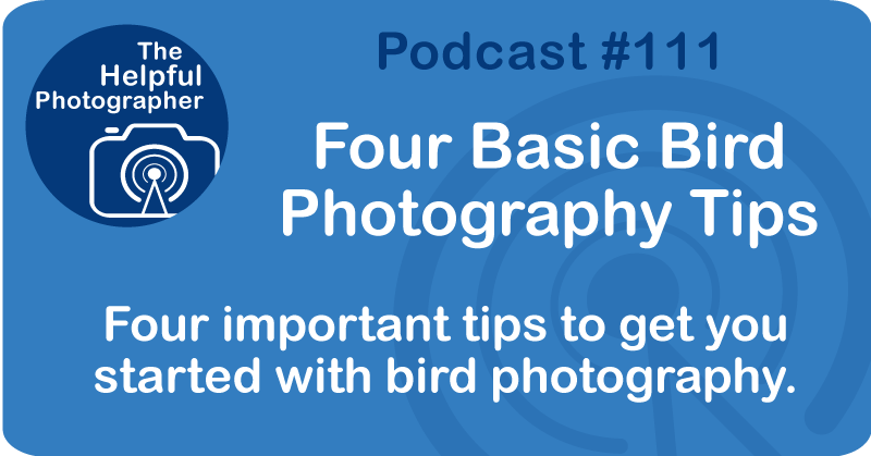 Photo Tips Podcast: Four Bird Photography Tips #111