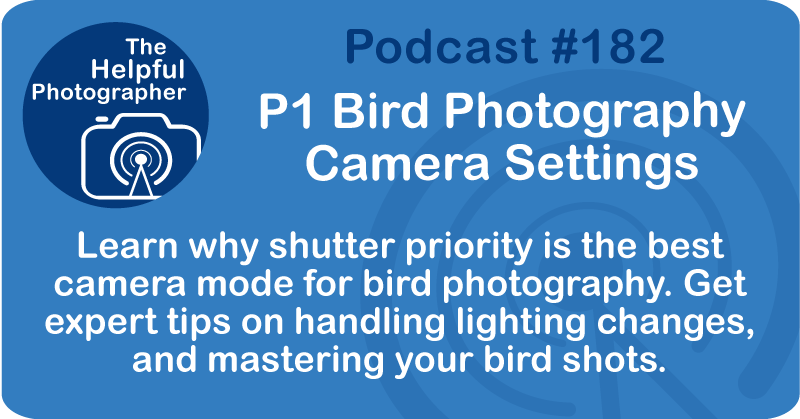 Photo Tips Podcast: P1 Bird Photography Camera Settings #182