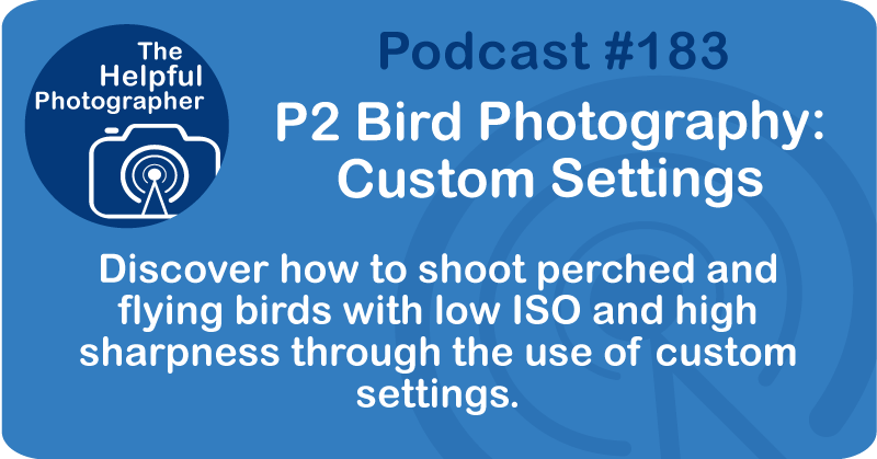 Photo Tips Podcast: P2 Bird Photography: Custom Settings #183