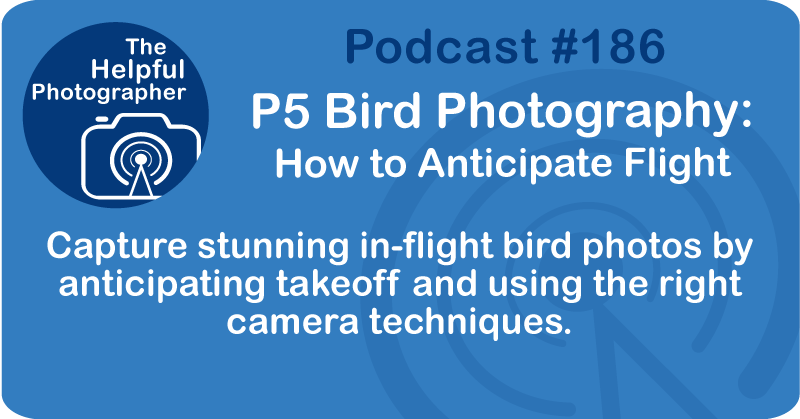 Photo Tips Podcast: P5 Bird Photography: How to Anticipate Flight #186
