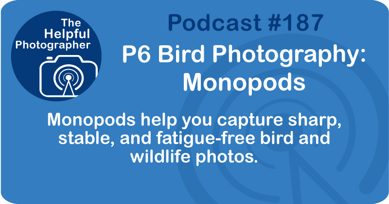 Photo Tips Podcast: P6 Bird Photography: Monopods #187