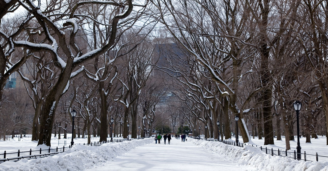 NYC Photo Safari photo tips