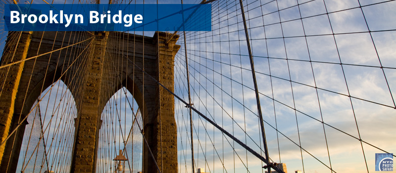 Best Photo of Brooklyn Bridge - NYC Photo Safari