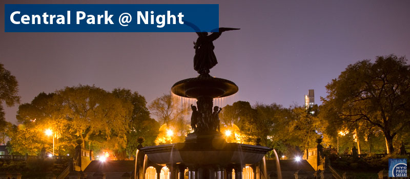 Central Park Fountain Night Picture - Photography class
