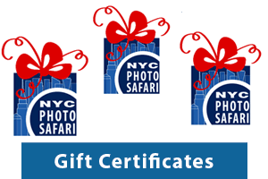 Photography Classes Gift Cards