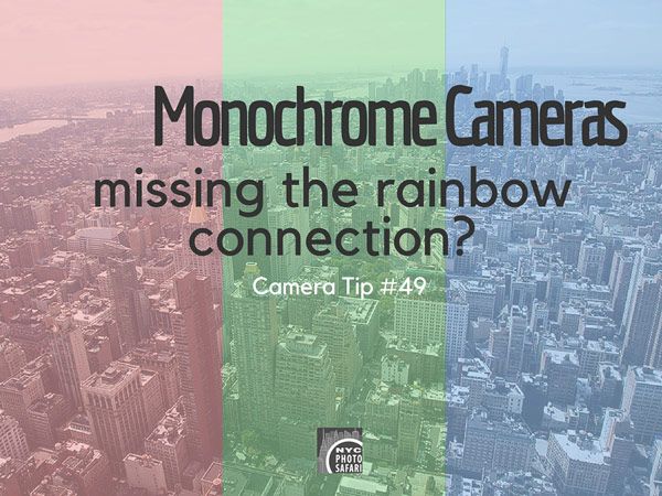 understanding cameras