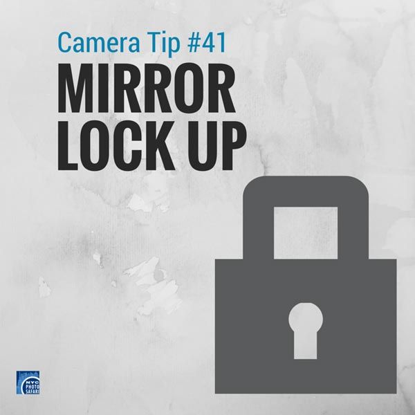 Photography workshop photographic tips