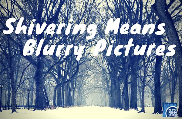 Winter Photography Photo Safari